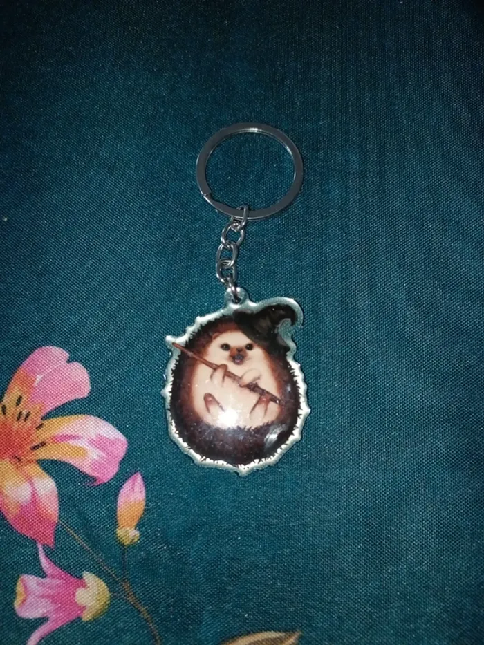 Porte clef hérisson magicien association
