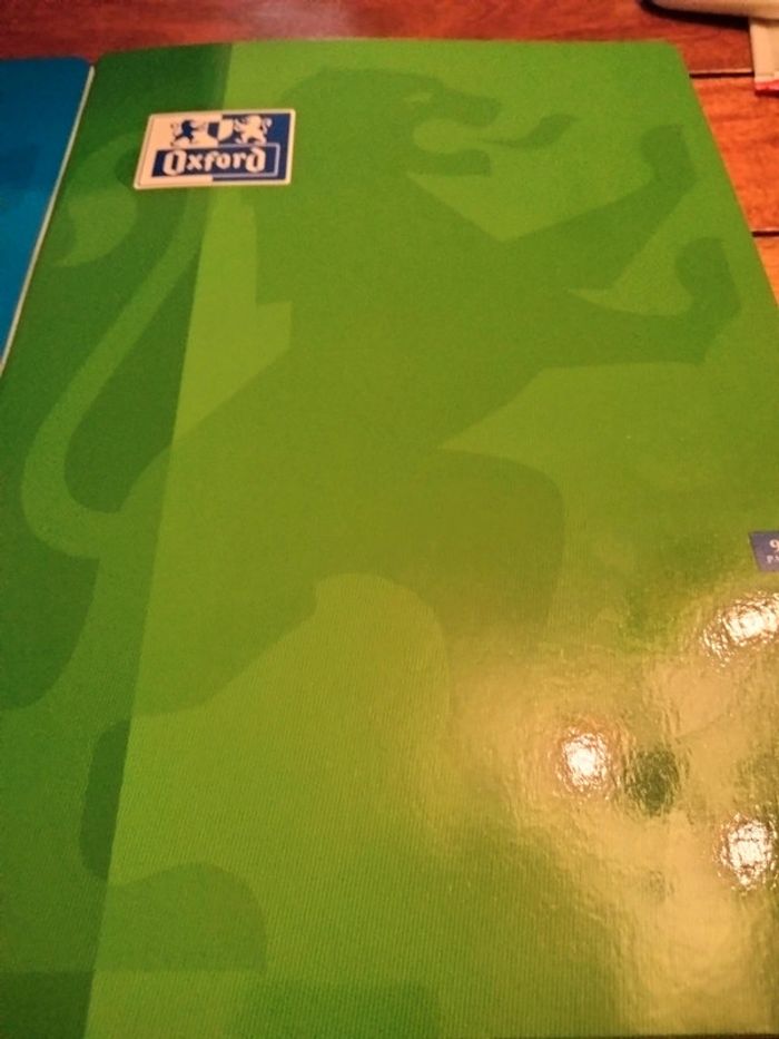 Lot de 2 grands cahiers 96 pages oxford - photo numéro 2