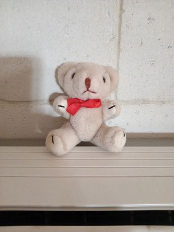 Ourson peluche