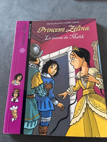 Livre princesse zelina le secret de malik ce2