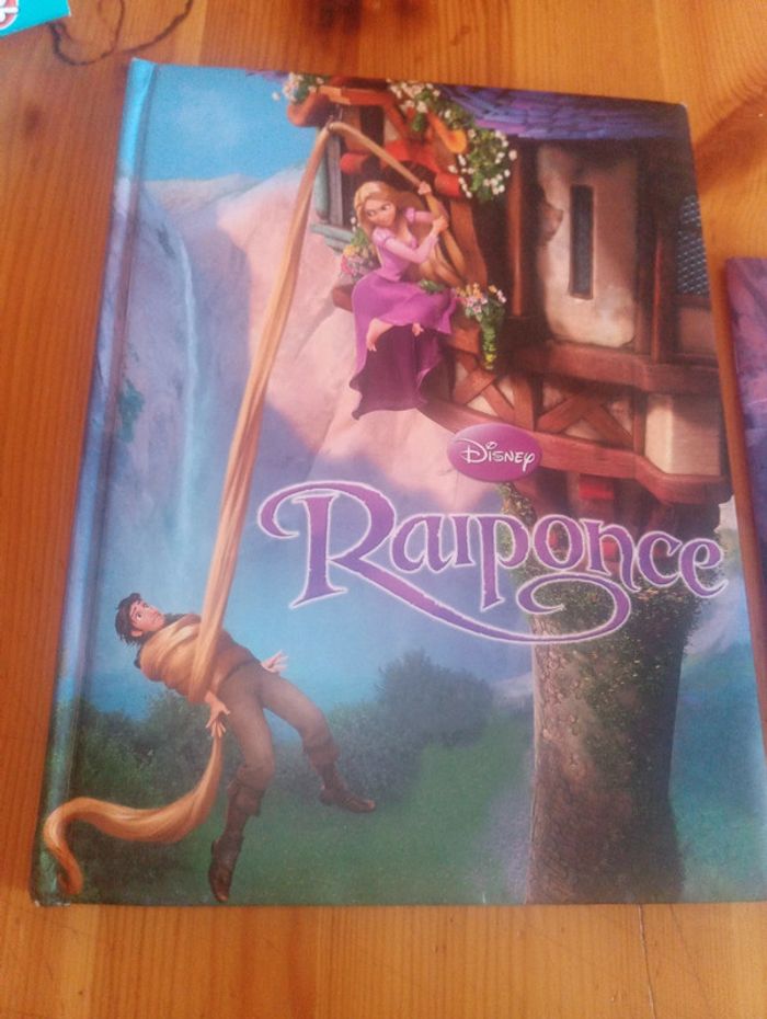 Lot livres princesses Disney - photo numéro 2