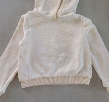 Sweat à capuche manches 3