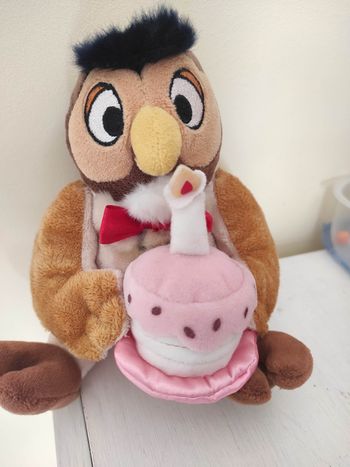 Maitre hibou anniversaire Winnie 