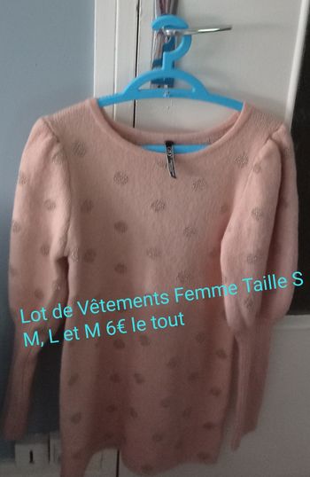 Lot vêtements Femme 