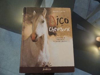 Livre "Le dico des chevaux"
