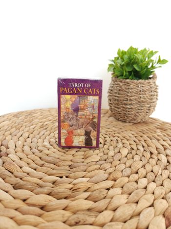 Tarot des Chats Païens