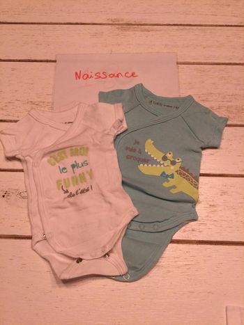 Lot bodies  manches courtes