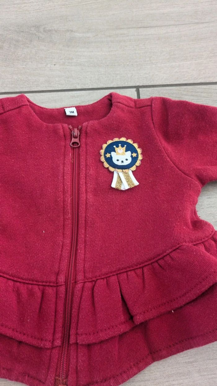 Lot gilet fille 3 mois - photo numéro 3