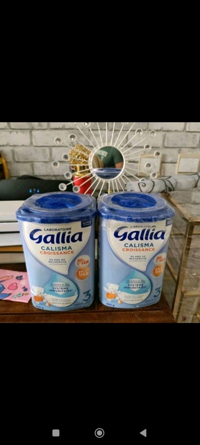 Lot 2 lait Gallia neuf