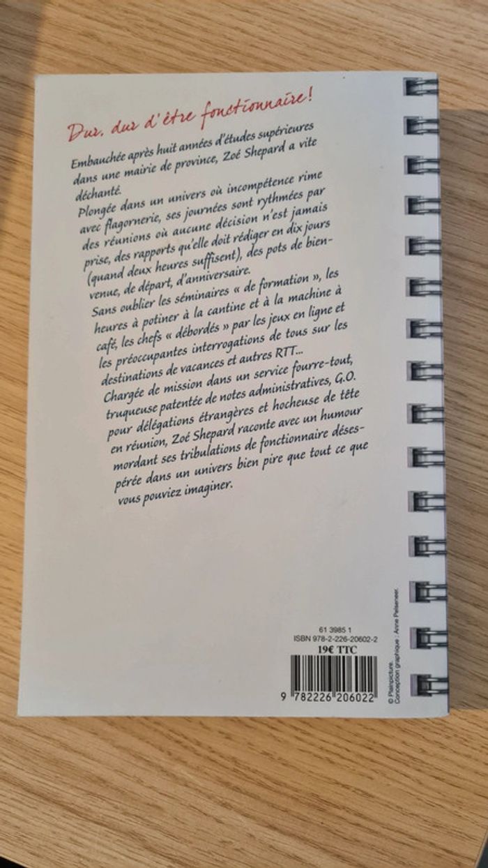 Absolument dé-bor-dée ou le paradoxe du fonctionnaire- Zoé Shepard - photo numéro 3