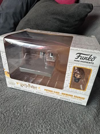 Potions class hermione granger