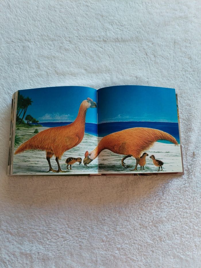 Livre les oiseaux 1001 photos - photo numéro 3