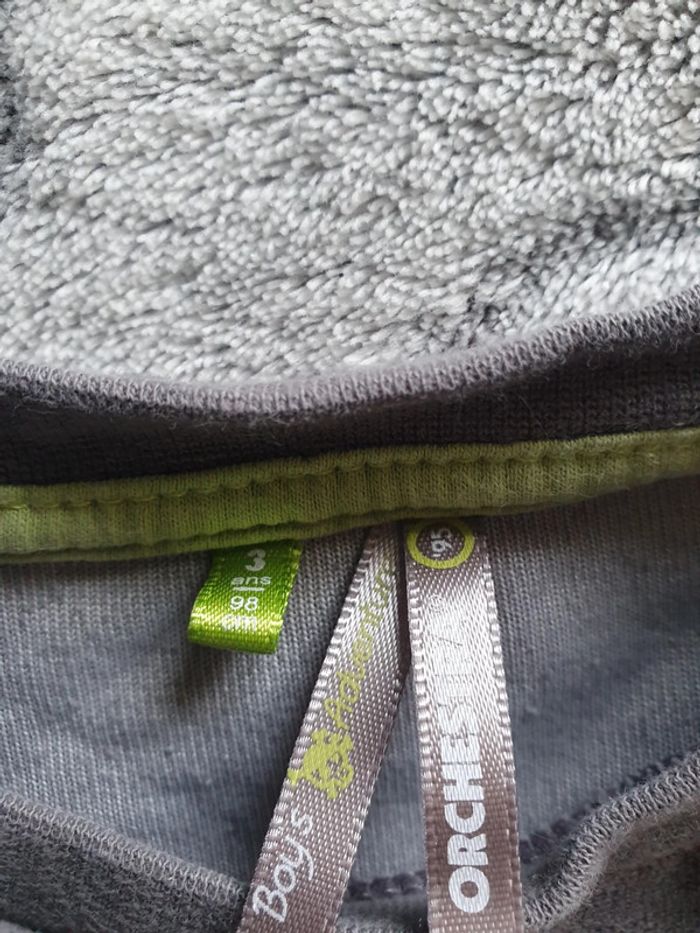 Pyjama dinosaure - photo numéro 3