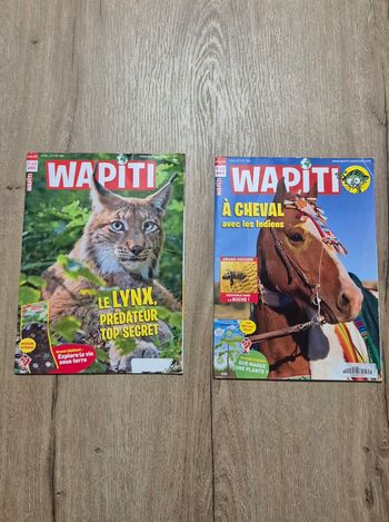 Lot magazines Wapiti