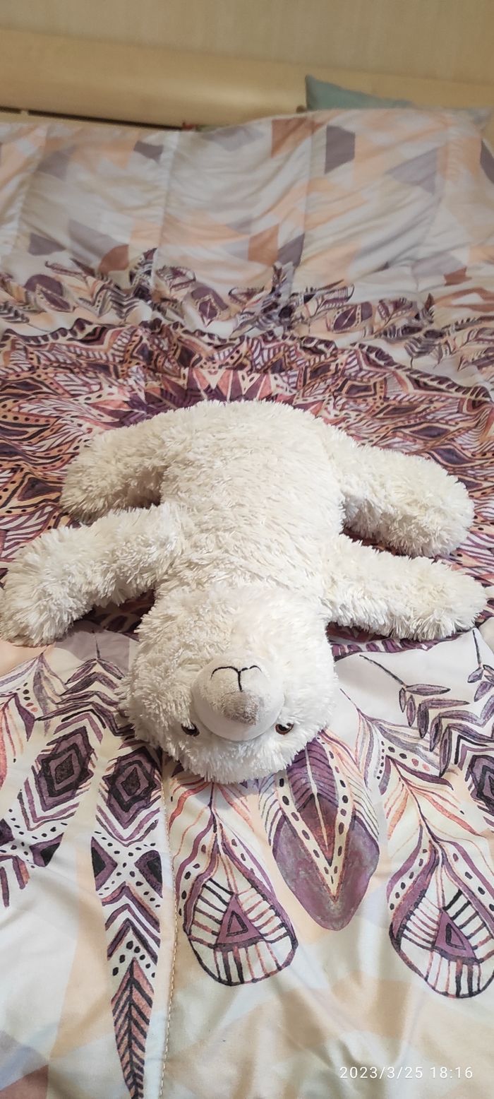 Peluche ours blanc - photo numéro 6