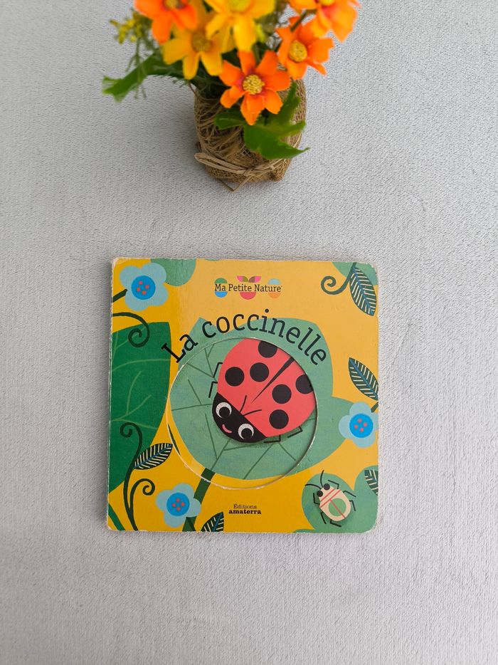 Livre La coccinelle Amaterra