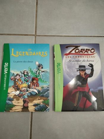 Lot de deux livres