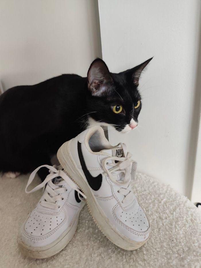 👟 Nike Air Max enfant – taille 26