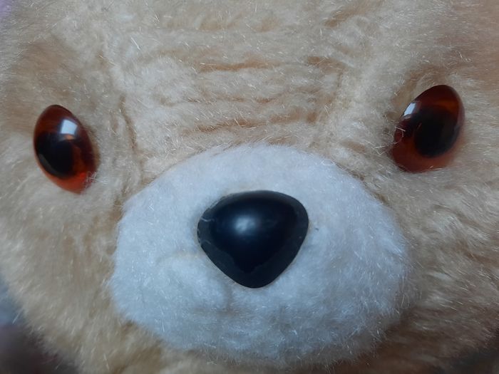 Ours en peluche - photo numéro 4