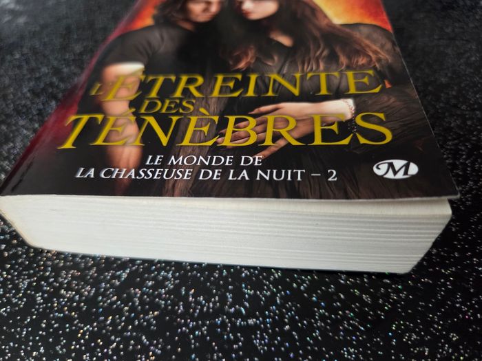 Livre de poche le monde de la chasseuse de la nuit tome 2 - photo numéro 4