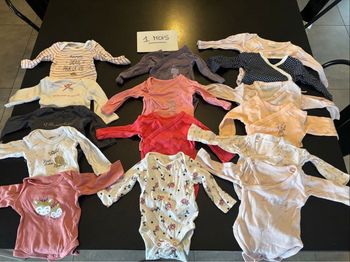 Bodies