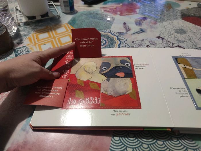 Album cartonné les animaux familiers - photo numéro 3