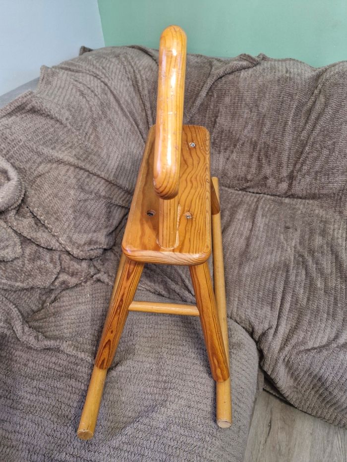 Cheval de bois - photo numéro 4