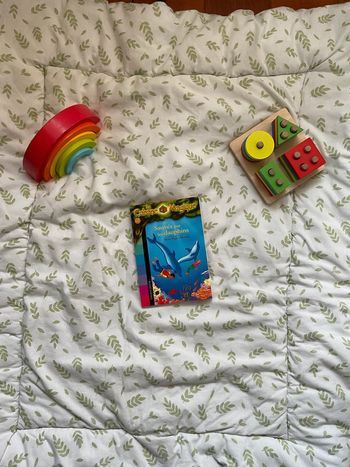 livre la cabane magique sauvés par les dauphins tome 12