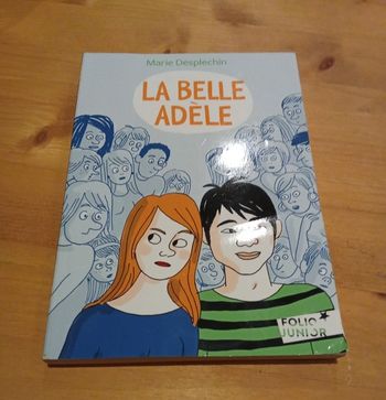 livre "la belle Adèle " Marie DESPLECHIN