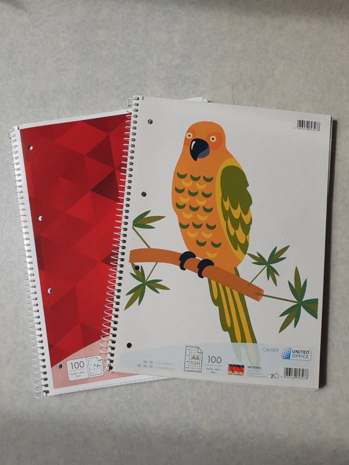 Lot de 2 cahiers A4