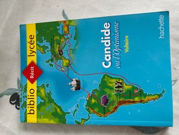 Candide ou l'optimisme
