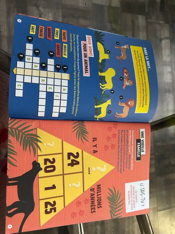Livre d’activités - photo numéro 2