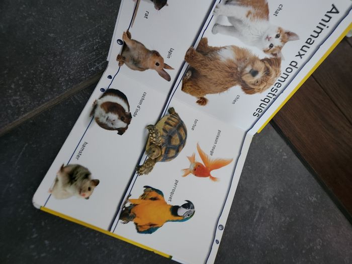 Livre bébé : Animaux - photo numéro 5