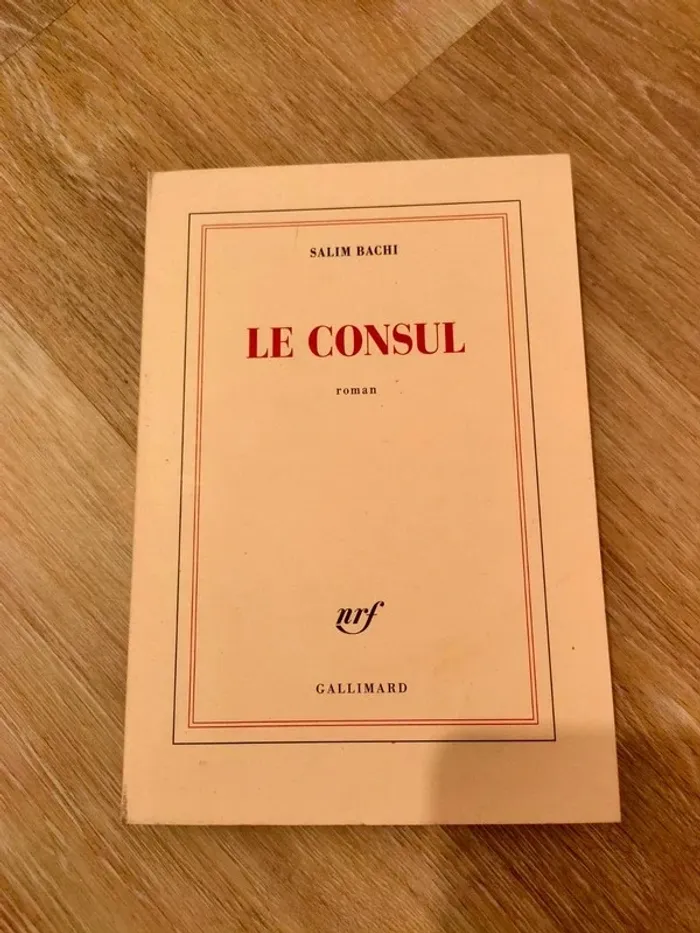 Le consul, Salim Bachi