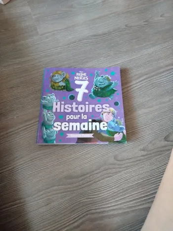 Livre reine des neiges