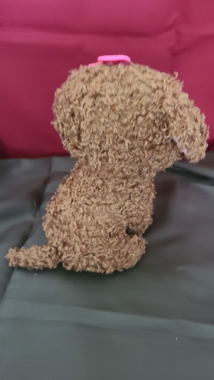 Peluche Boo's 23cm Maddie Le Chien ty - photo numéro 4