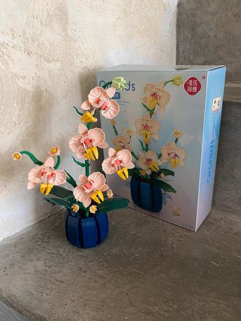 Blocs de construction Orchidée