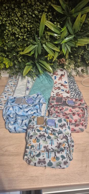 Couche bambino mio