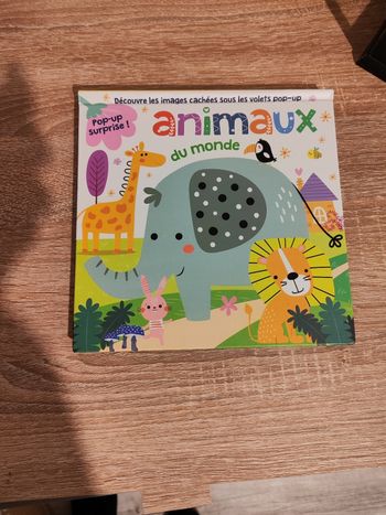 Livre animaux du monde pop-up surprise