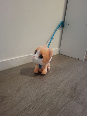 Chat Furreal grand marcheur