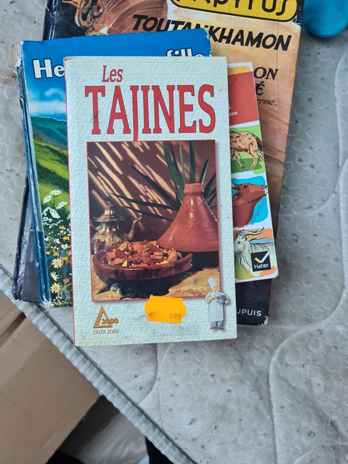 Les tajines