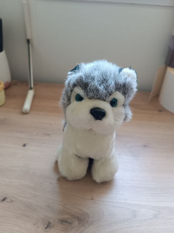 Peluche chien 20 cm 