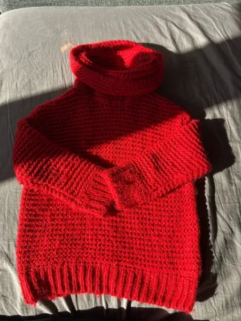 Magnifique pull Zara 110