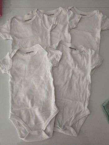Lot de 5 bodies
