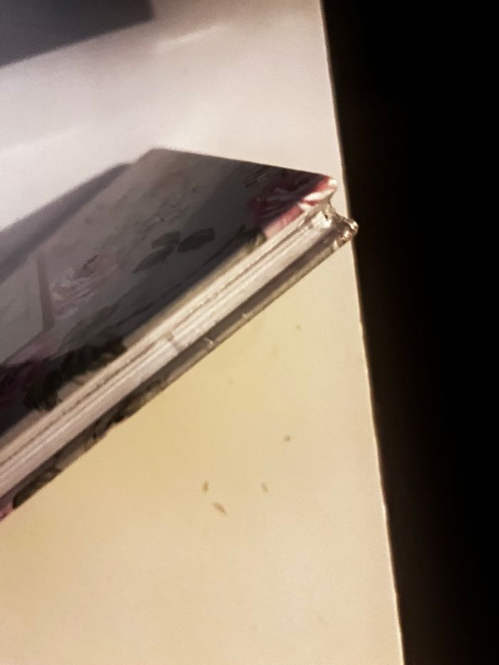 Livre les légendes de la mode - photo numéro 3