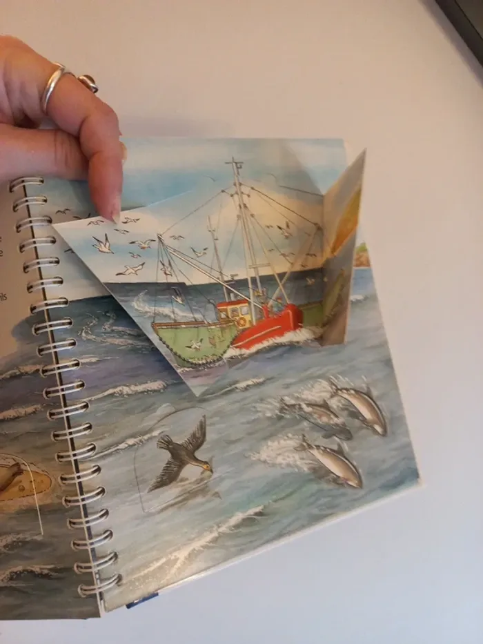 Livre enfant A la mer - photo numéro 5