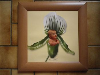 CADRE ANNE GEDDES