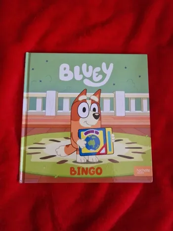 Livre bluey bingo