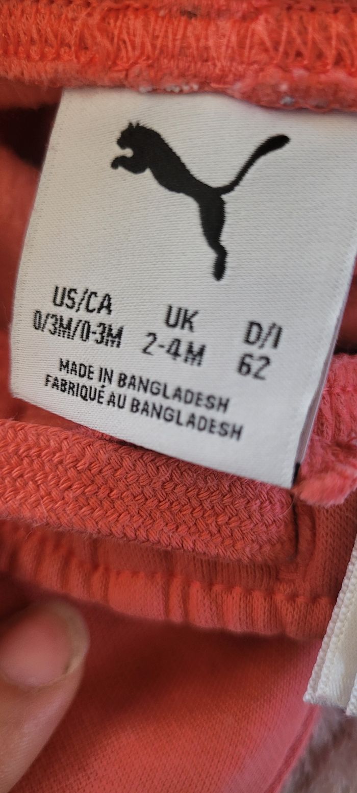 Puma - photo numéro 2