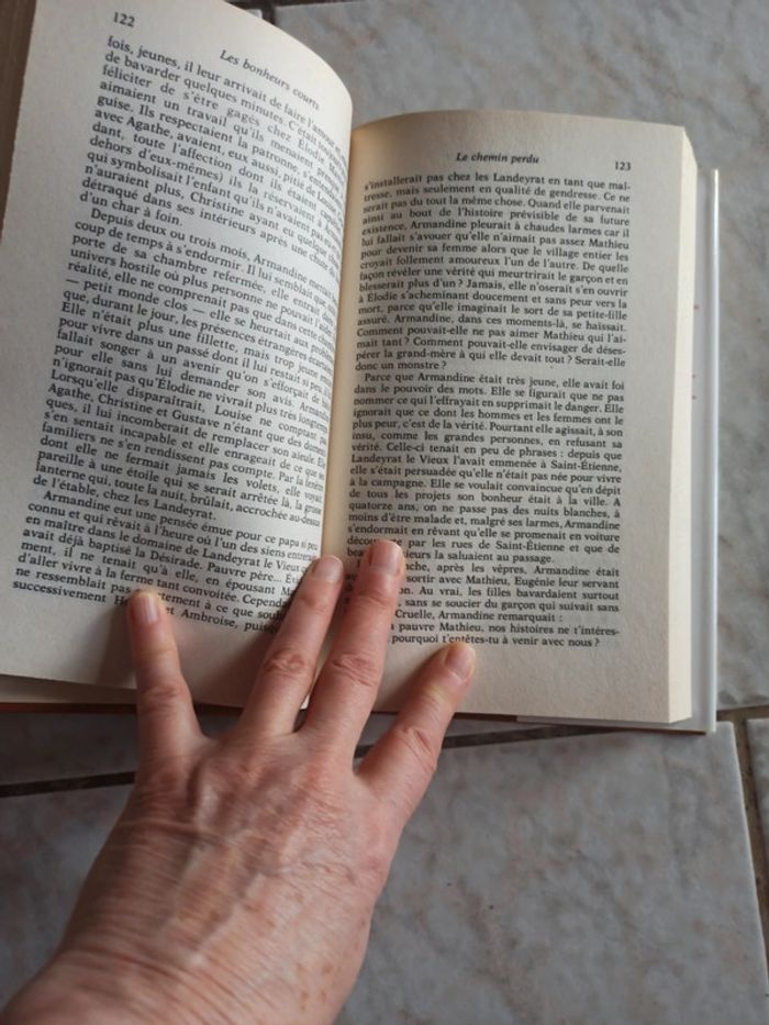 Le chemin perdu - photo numéro 4